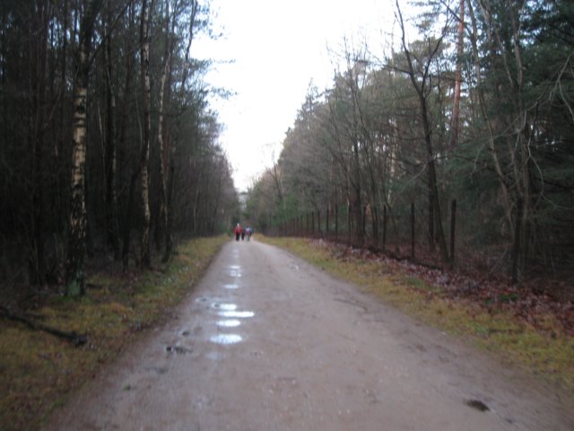 img_6676.jpg