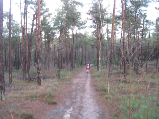 img_6678.jpg