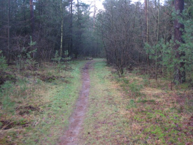 img_6679.jpg