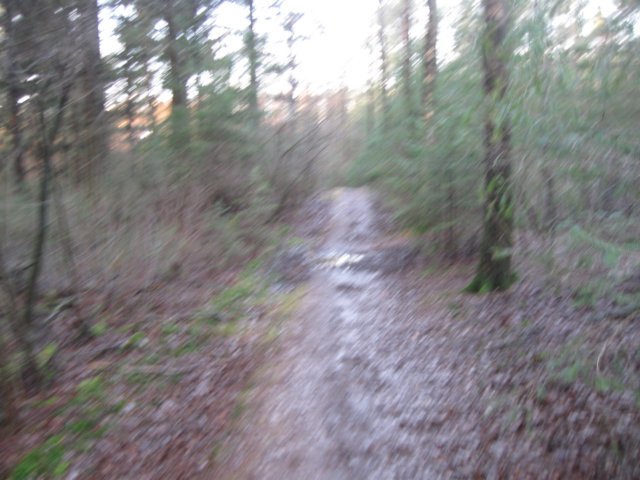 img_6681.jpg