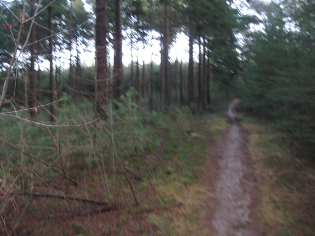 img_6682.jpg