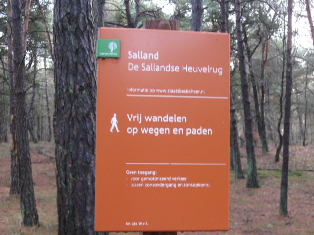img_6685.jpg