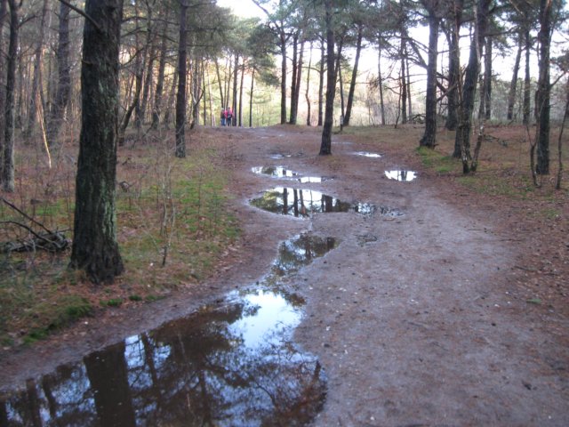 img_6686.jpg