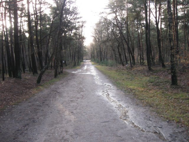 img_6690.jpg