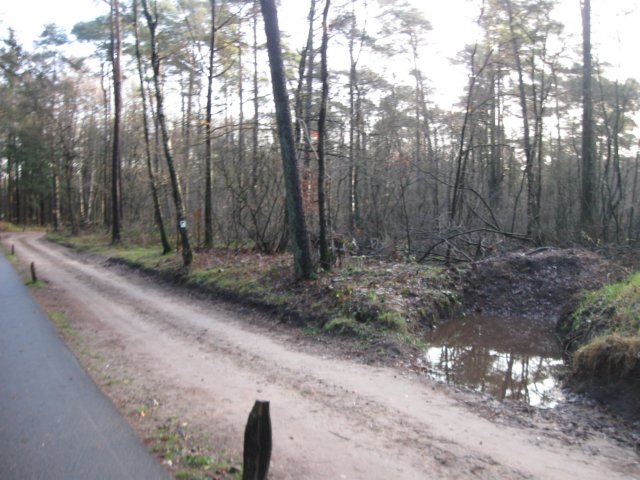 img_6691.jpg