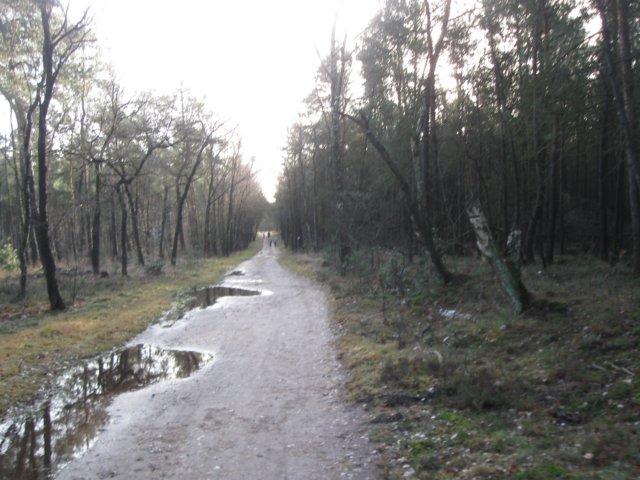 img_6716.jpg