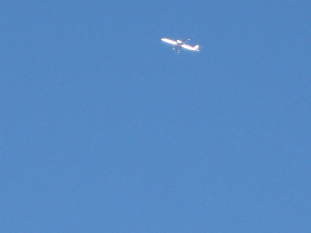 img_6719.jpg