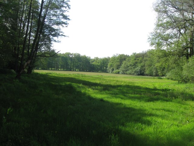 img_2060.jpg