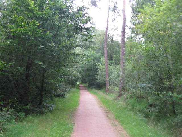 img_3336.jpg