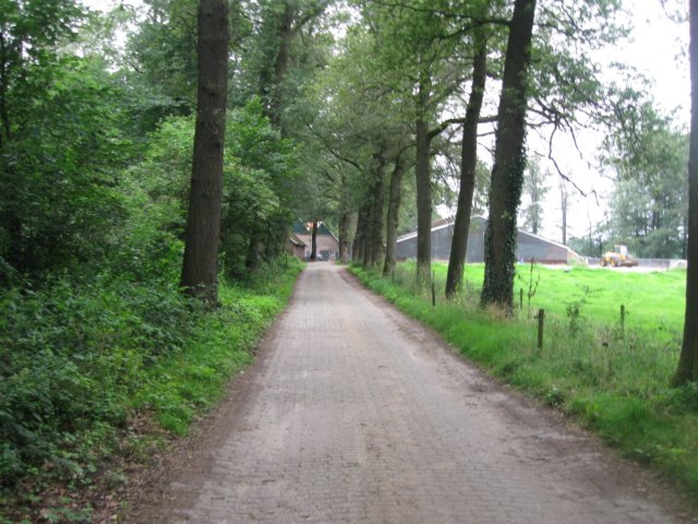img_3358.jpg