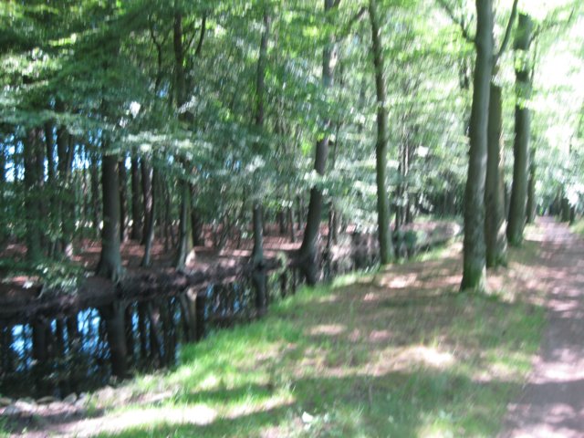 img_3393.jpg
