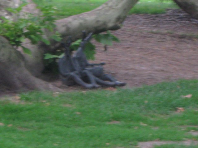 img_3421.jpg