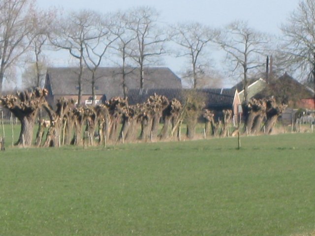 img_1141.jpg