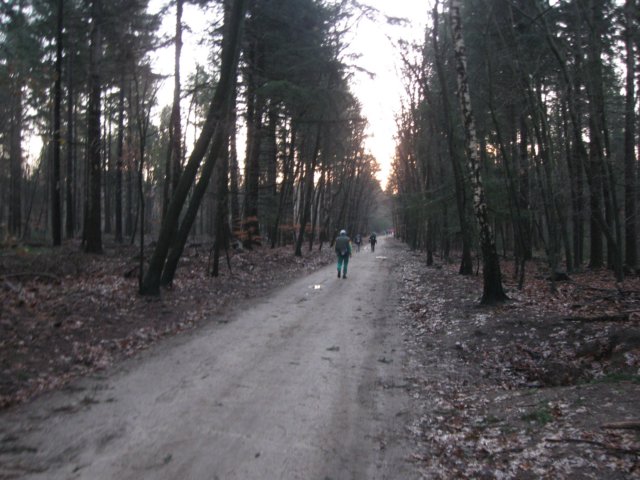 img_6502.jpg