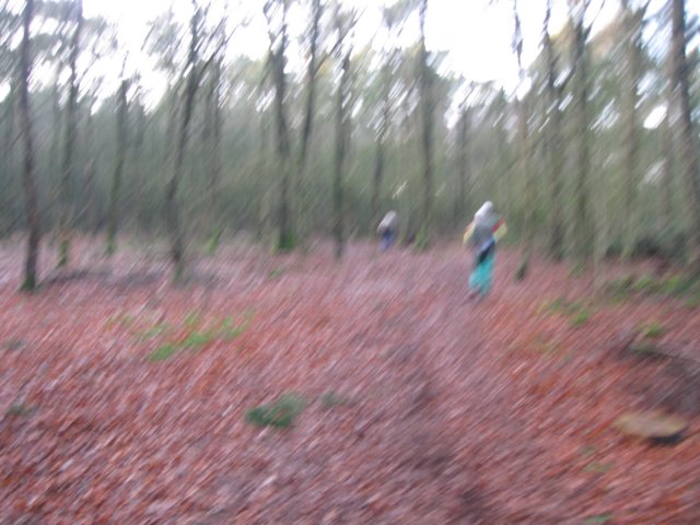 img_6514.jpg