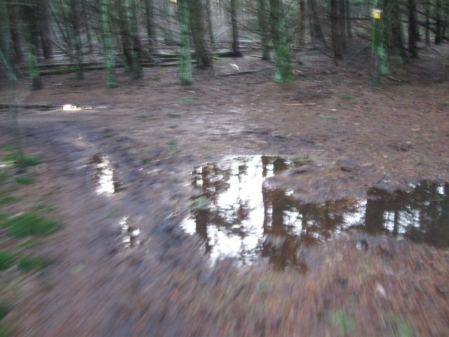 img_6515.jpg