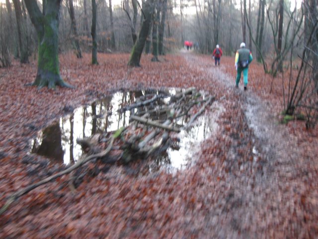 img_6516.jpg
