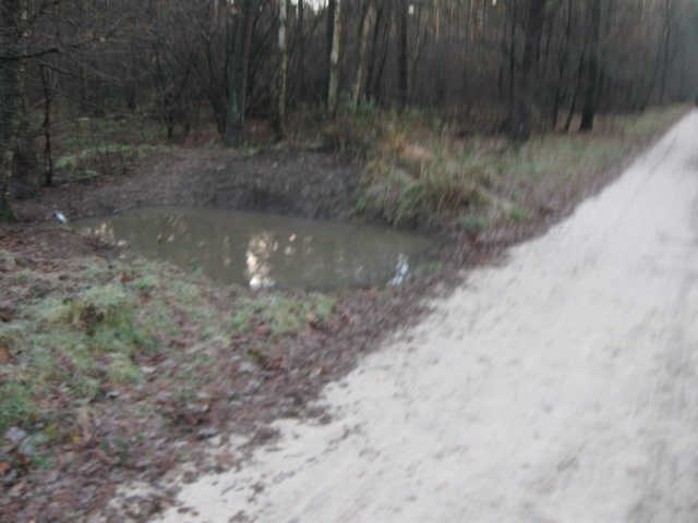 img_6517.jpg