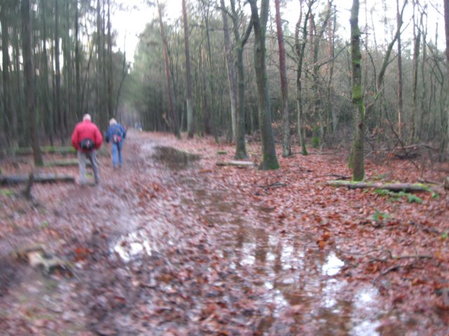 img_6522.jpg