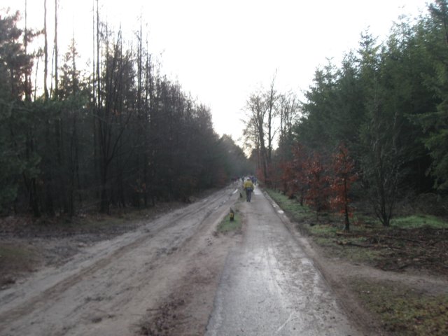 img_6524.jpg