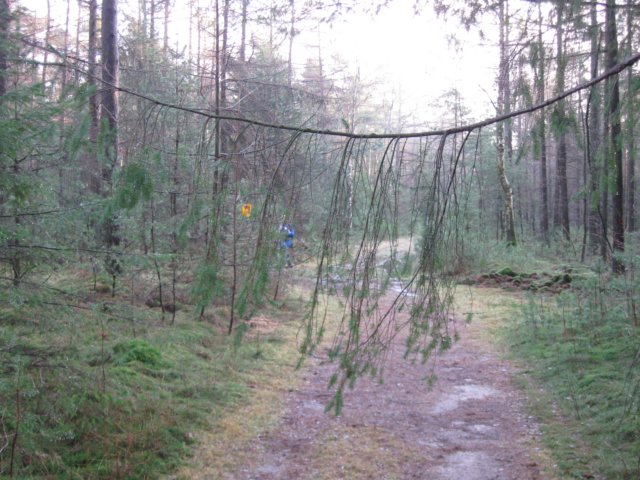 img_6530.jpg