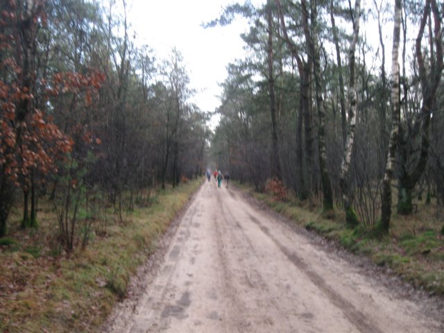 img_6532.jpg