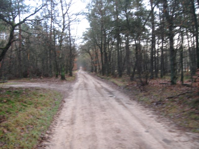 img_6533.jpg