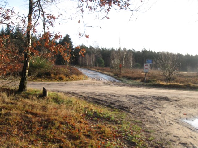 img_6536.jpg