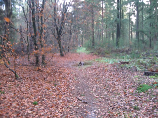 img_6549.jpg