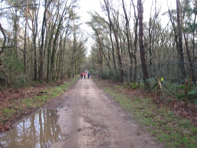 img_6551.jpg