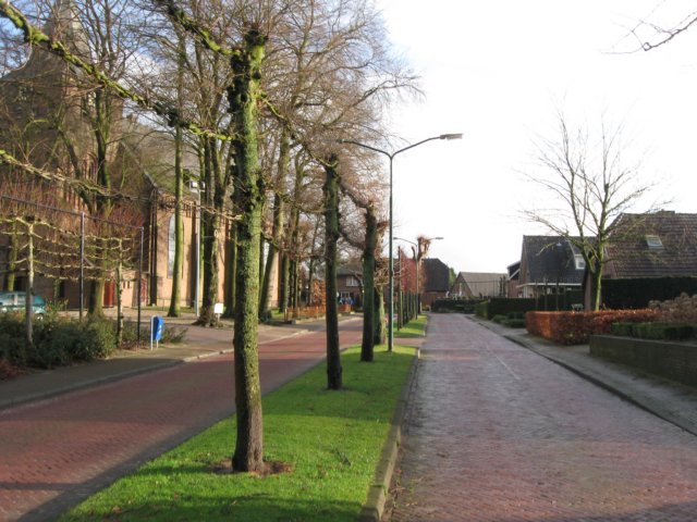 img_6555.jpg