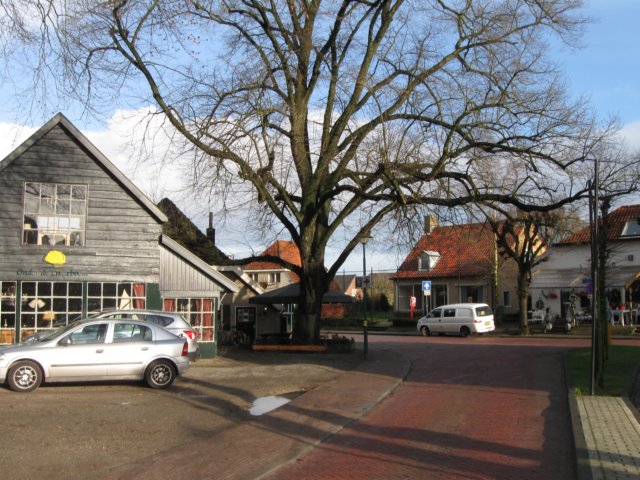img_6558.jpg