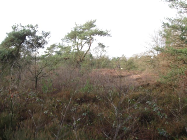 img_6572.jpg
