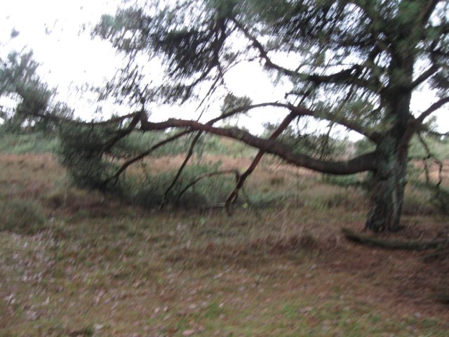 img_6574.jpg