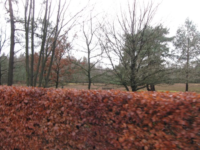 img_6575.jpg