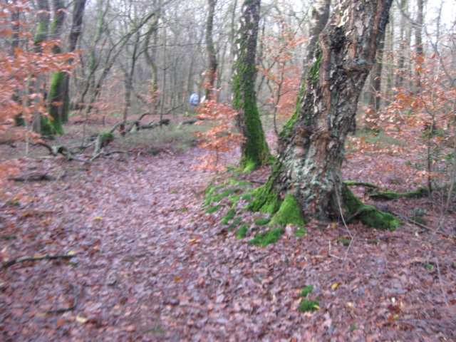 img_6577.jpg