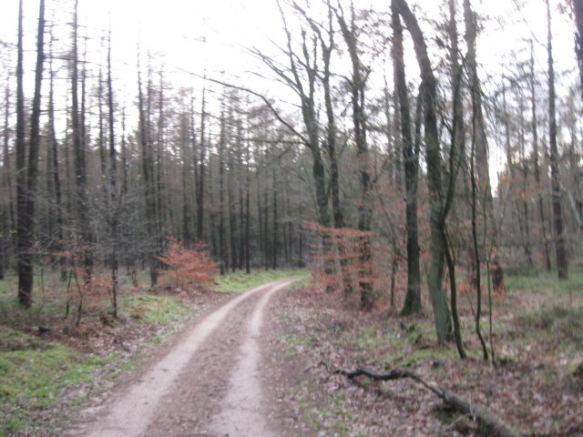 img_6581.jpg