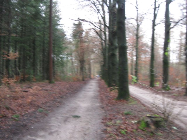 img_6582.jpg