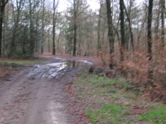 img_6586.jpg