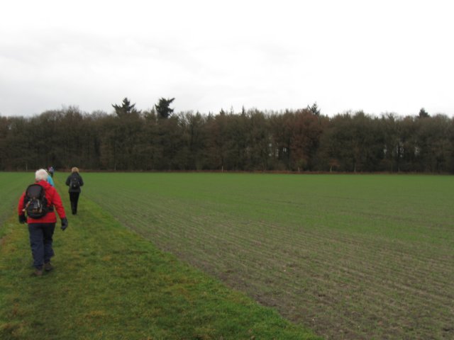 img_6590.jpg