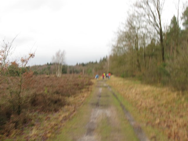 img_6598.jpg