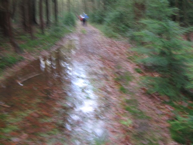 img_6607.jpg