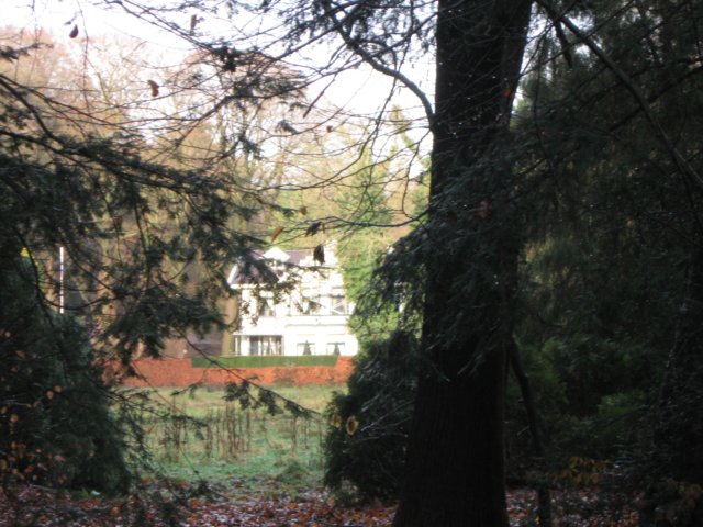 img_6611.jpg