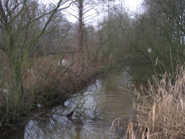 img_9553.jpg
