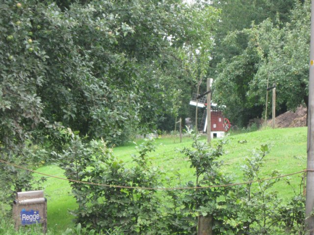 img_3623.jpg