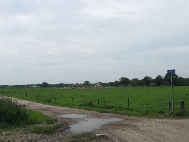 img_3633.jpg