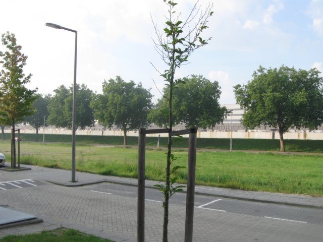 img_4978.jpg