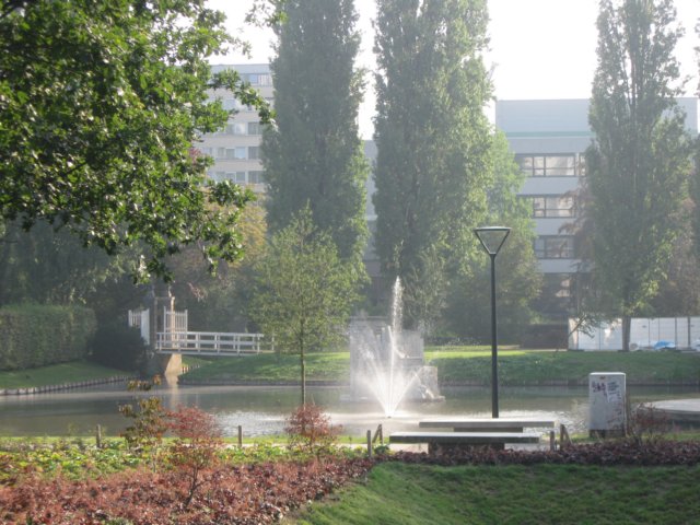 img_4998.jpg