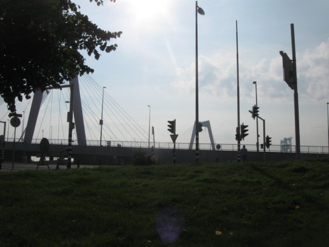 img_5036.jpg