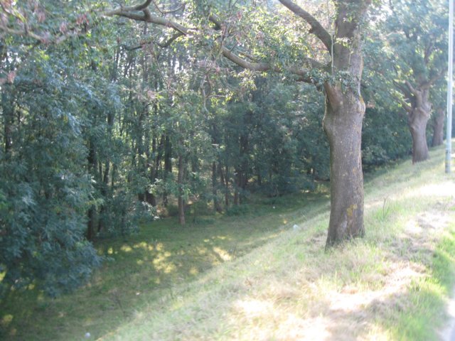 img_5064.jpg